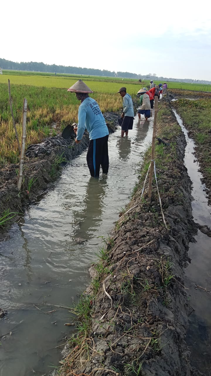 Solusi Petani Desa pilangsari ( Normalisasi Pembuatan Parit )